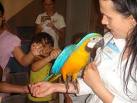 blue and gold macaw parrots for rehoming for any good home